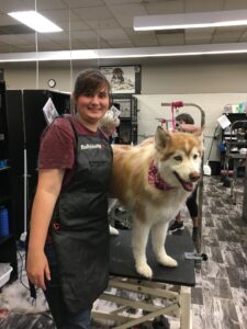 Whitney with a Husky on her grooming table.